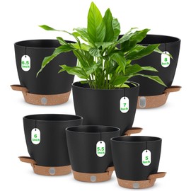 Self Watering Planter Set with Visual Water Level, 6Pack Small Plastic Pot with Drainage Holes and Reservoir Saucers, Modern 8+7+6.5+6+5.5+5 Inch Bottom Watering Flower Pots for Indoor Plant - Black
