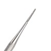 Double Head Nail File Ingrown Toenail File Stainless Steel Ingrown