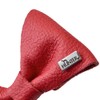 HUNTER Collar Bow Tie Paris Red