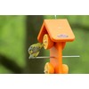 Kettle Moraine Recycled Double Oriole Orange Fruit Feeder