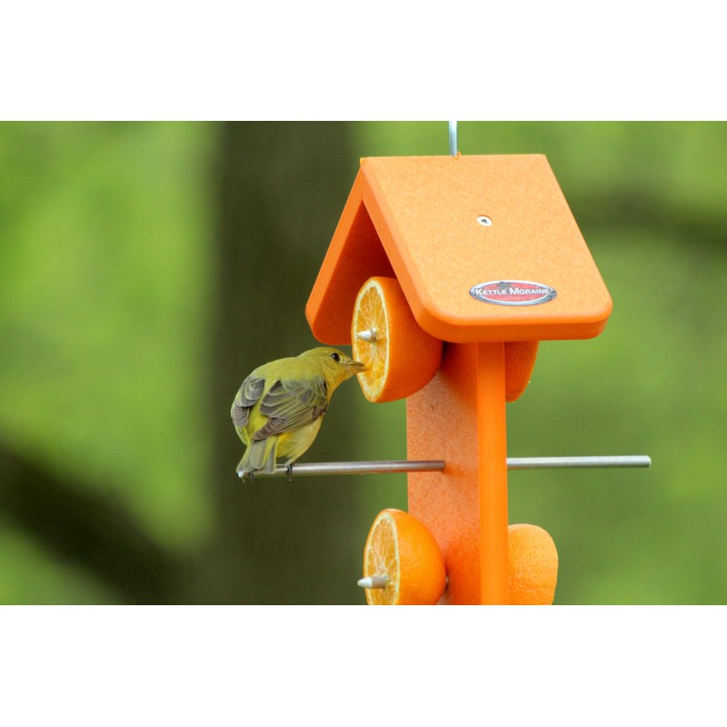 Kettle Moraine Recycled Double Oriole Orange Fruit Feeder