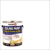 Zinsser 260967 Ceiling Paint & Primer in One, Gallon, Bright