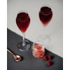 AIOS Unbreakable Tritan BPA Free Prosecco Flute/Champagne Flute 165ml (Set