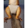 FORZENA Reusable Washable Squirrel Diapers Highly Absorbent with Strong &