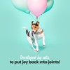Pooch & Mutt - Daily Joint Care Supplement for Large