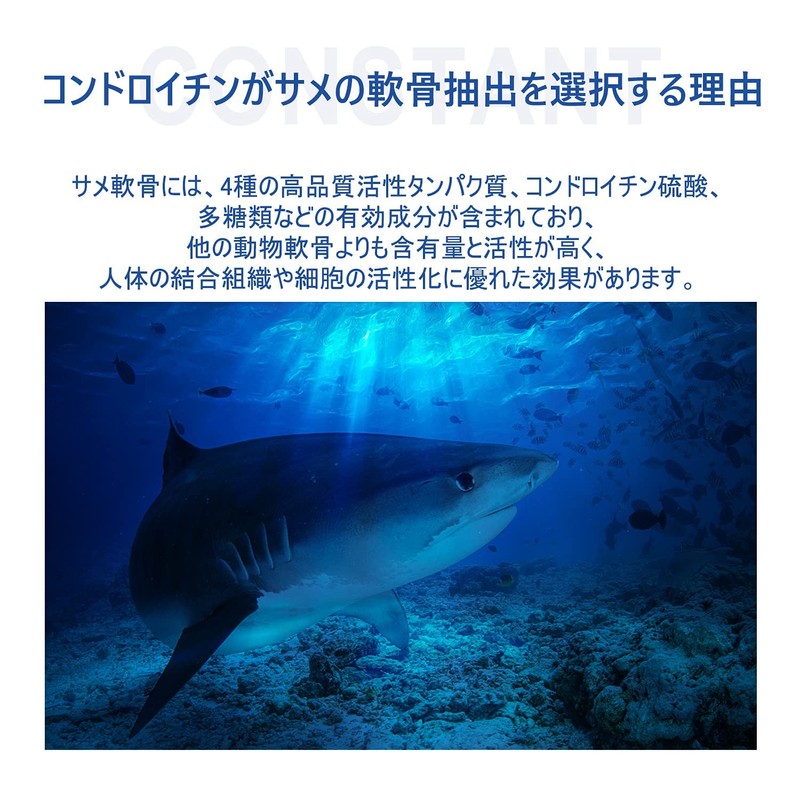 [医食同源ドットコム] iSDG グルコサミン＋ MSM サプリメント 1520mg MSM(有機イオウ) Ⅱ型コラーゲン配合 国内製造 240粒
