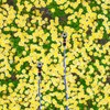Relaxdays Set of 2 Garden Sprinklers with Ground Spike, 6