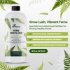 Fern Fertilizer for Greener Growth and Dense, Resilient Fronds, 16oz