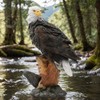 Noegrus 13.2" Real Eagle Statue, Funny Resin Bird Sculpture, Garden