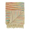 SARO LIFESTYLE Rainbow Stripe Throw Blanket