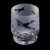 Dartington Crystal Aspect Tumbler - Spitfire