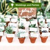 vensovo 3 Inch Terra Cotta Pots with Drainage - 20
