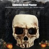 Skull Head Flower Pot Resin High Strength Clear Shape Skull