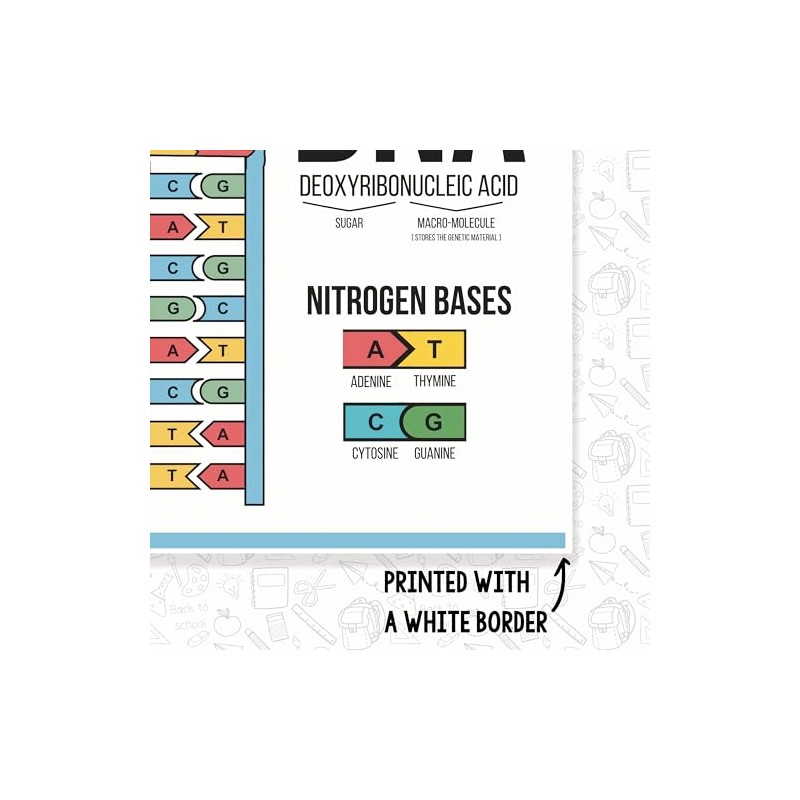 DNA Explanation Classroom Poster - Science Classroom Poster - 12