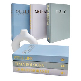 HUAERLSP Beautiful Decorative Books - Set of 3 to Enhance Your Bookshelf, Coffee Table or Mantle Decor - Stylish Fake/Faux Books for Modern Home Decoration.Coastal、Beach House Decor.