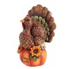 Xintim Thanksgiving Table Decorations Resin Turkey Statue with Pumpkin, Fall