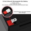 Miady 12V 12Ah Rechargeable Sealed Lead Acid Battery (2 Packs)