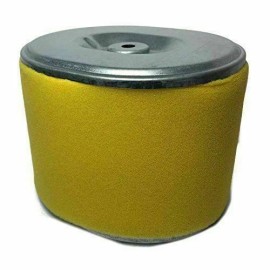 BMP Form Air Filter For Ford 3100PSI 2.5GPM Pressure Washer model# FPWG3100H-J