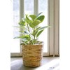 Ohashi Shinji Shoten 13-244 Pot Cover Rattan Basket No. D4