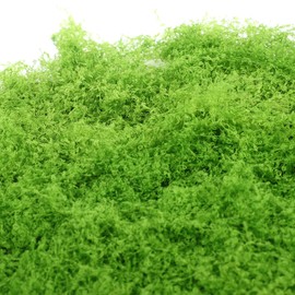 SUPVOX Artificial Moss Mat Light Green 50x50cm Simulation Moss Pad for Outdoor Landscaping, Window Display, Miniature Garden Decor