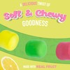 Wiley Wallaby Licorice Candy Bites 3.0 Ounce Gourmet Sourrageous Drops