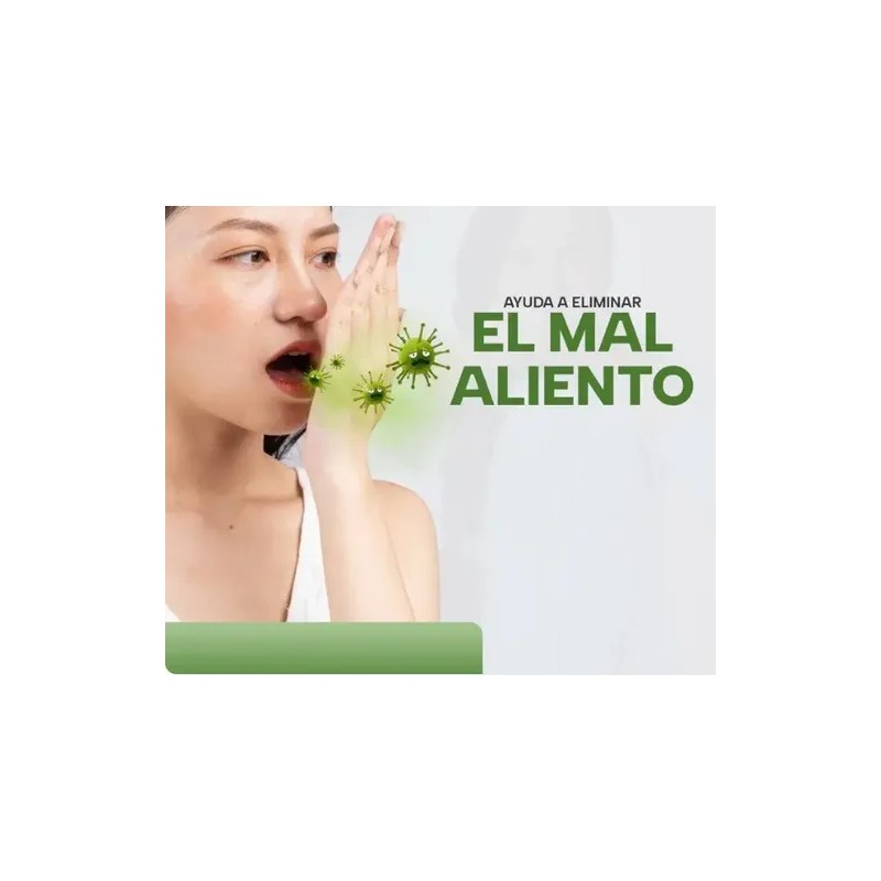 Bacticure Probióticos Para El Balance Del Sistema Digestivo. Sabor Sin