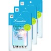 2023 Fresh Mojito 2023 Paper Fragrance, Set of 3