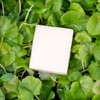 Yuanjae low-temperature aged coconut soap, unscented 100g, 2 pieces /
