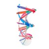 BESPORTBLE Self Assembling DNA Model Kit Interactive Science Educational Tool