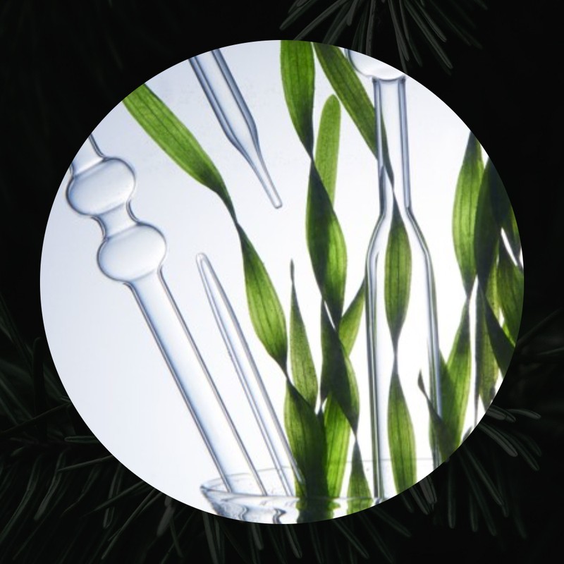 Partner company Skinbolic Tea Tree Essential Oil 5ml / 스킨볼릭