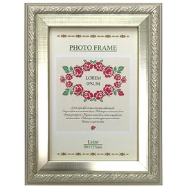 VANJOH N Frame 2009 L Size, Silver 105550