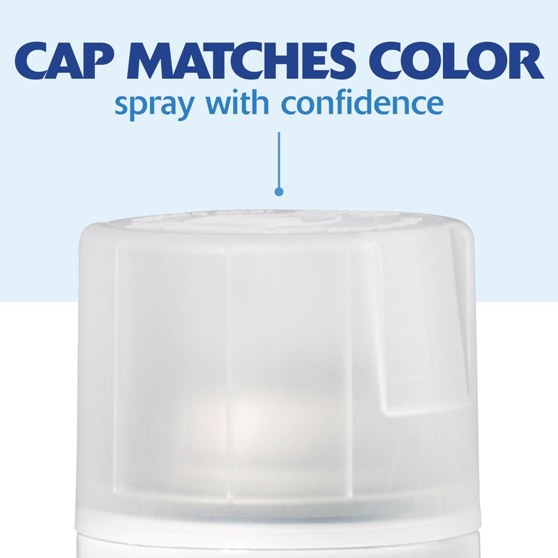 Rust-Oleum 346952-6PK Painter's Touch 2X Ultra Cover Spray Paint, 12