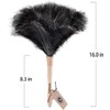 Feather Duster, Ostrich Feather Duster Ddzmz Fluffy Natural Genuine Ostrich