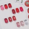 pov Forb Tomato Magnetic Gel Glitter Gel Single Item /