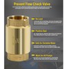 1 1/4 Inch Brass Check Valve for Well Pump, One