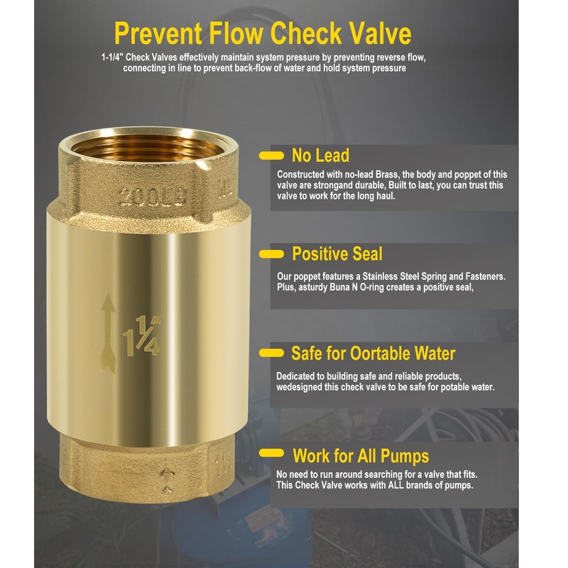 1 1/4 Inch Brass Check Valve for Well Pump, One