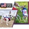 Raptor Shield Puncture Resistant Pet Vest for Small Dogs —