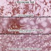Elizavecca Milky Piggy Hell-Pore Clean Up Enzyme Powder Wash