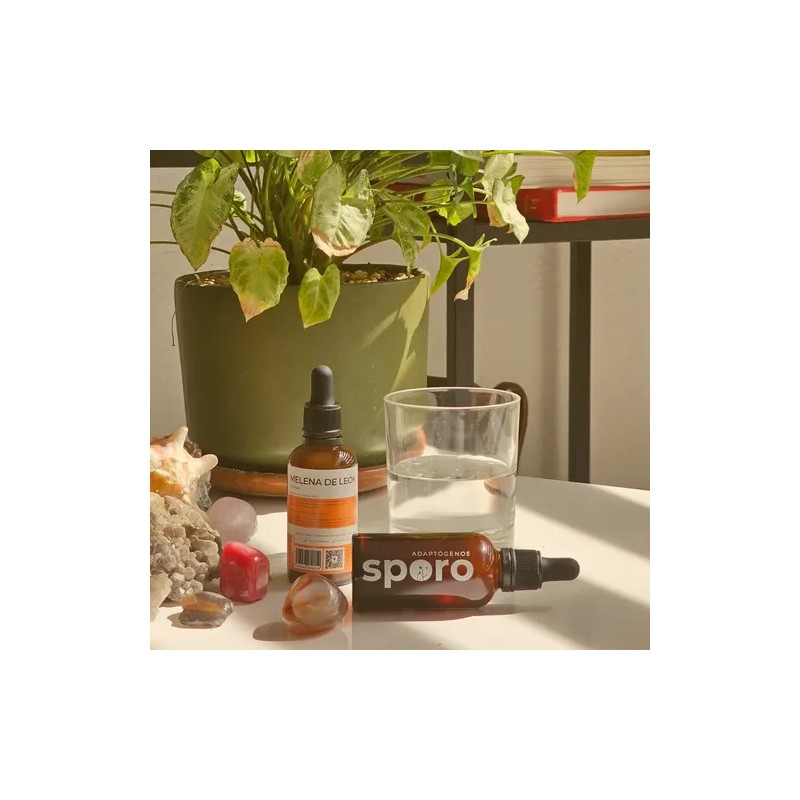 Hongo Adaptógeno Melena De León 50ml Sporo Extracto Líquido