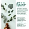 Hidrolato De Eucalipto Puro Refrescante, Astringente 500 Ml