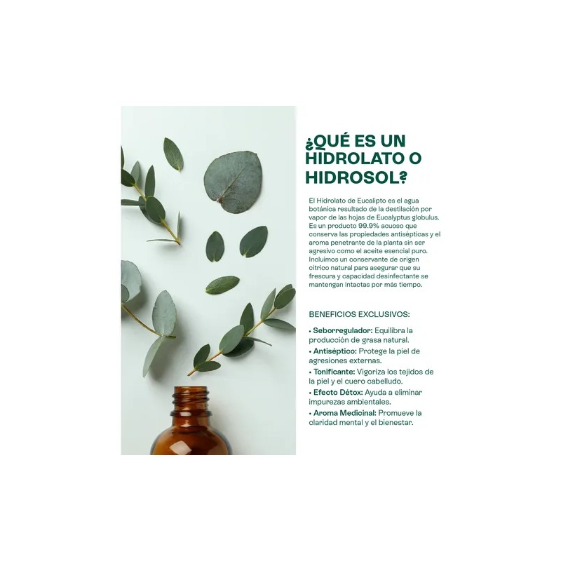 Hidrolato De Eucalipto Puro Refrescante, Astringente 500 Ml