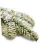VICKJES Peak Seasons 11105 5 Lbs White SNO-Bond Flock in