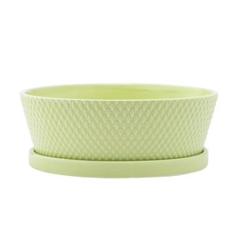 Napco Imports Decorative Home or Garden 3 x 10 Inch Indoor or Outdoor Dishgarden Flower Pot Planter with Saucer Green Embossed Diamond Design