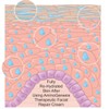AminoGenesis: Therapeutic Facial Repair Anti-Aging Moisturizing Créme Hydrate Moisturizer