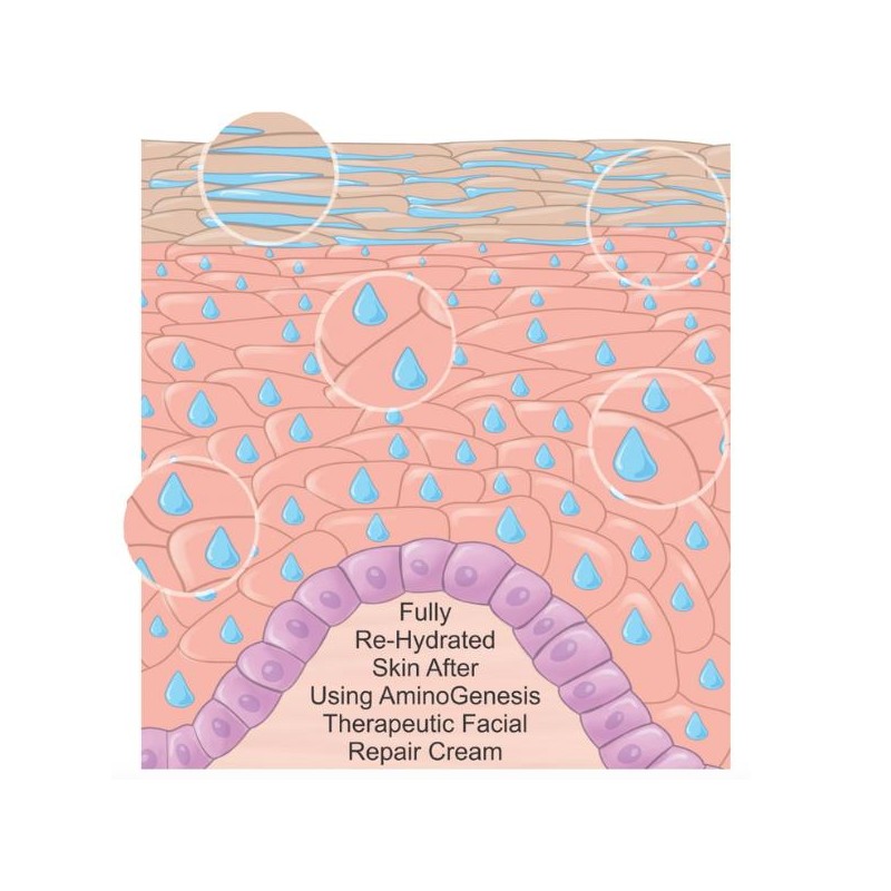 AminoGenesis: Therapeutic Facial Repair Anti-Aging Moisturizing Créme Hydrate Moisturizer