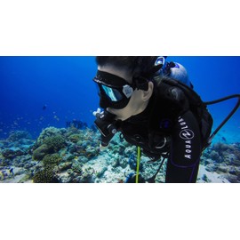 GoPro Green Water Dive Filter (for Super Suit) Filters,Black