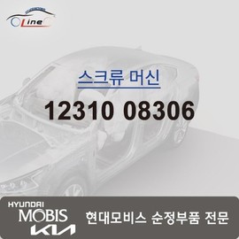 Hyundai Mobis Machine screw 12310 08306 / 머신 스크류 12310 08306