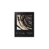 Kate Dark Rose Shadow Eye Shadow