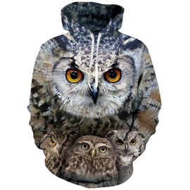 RAISEVERN Sweatshirts for Mens Womens 3D Owl Fleece Graphics Pullover Hoodies with Pocket Cool Funny Novelty Hoody Plus Size Long Sleeve Hooded Black Grey