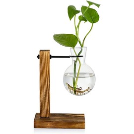 FitBest Maceta de cristal para escritorio, terrario, maceta con soporte de para propagación de plantas hidropónicas, decoración del hogar, dormitorio, jardín